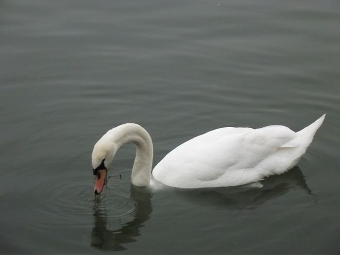 Senioren auf Stadtrundfahrt in M&uuml;hlhausen