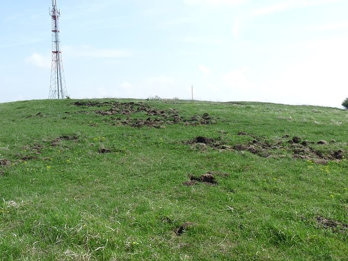 Frauenberg umgegraben