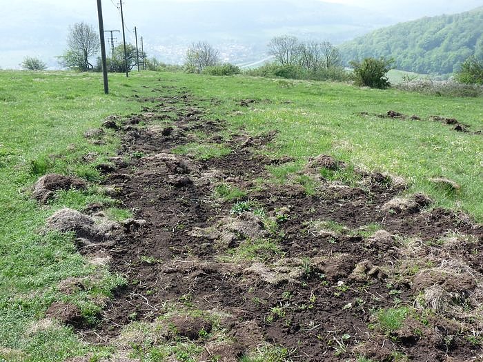 Frauenberg umgegraben