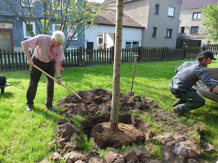 Baum gepflanzt und mehr