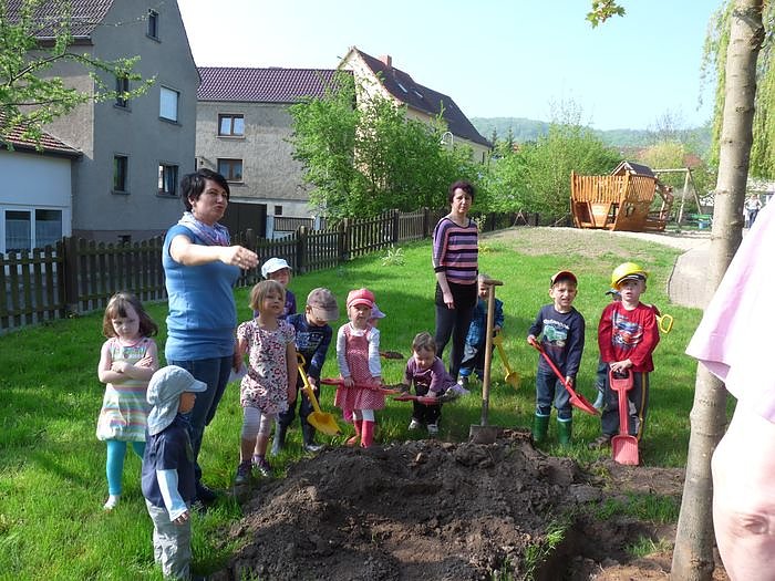 Baum gepflanzt und mehr