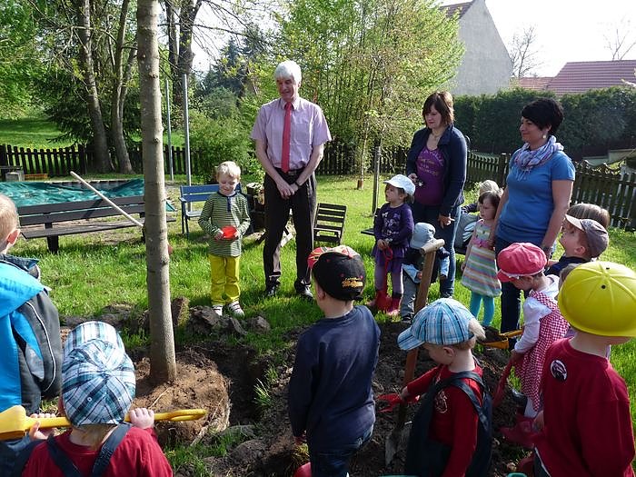 Baum gepflanzt und mehr