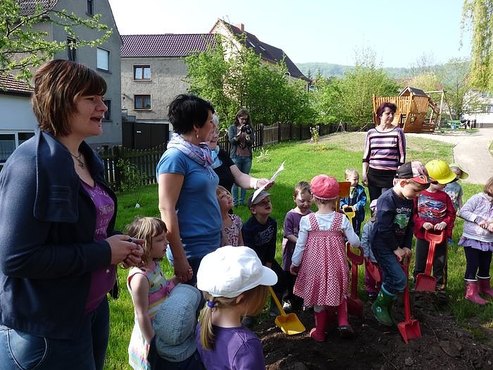 Baum gepflanzt und mehr