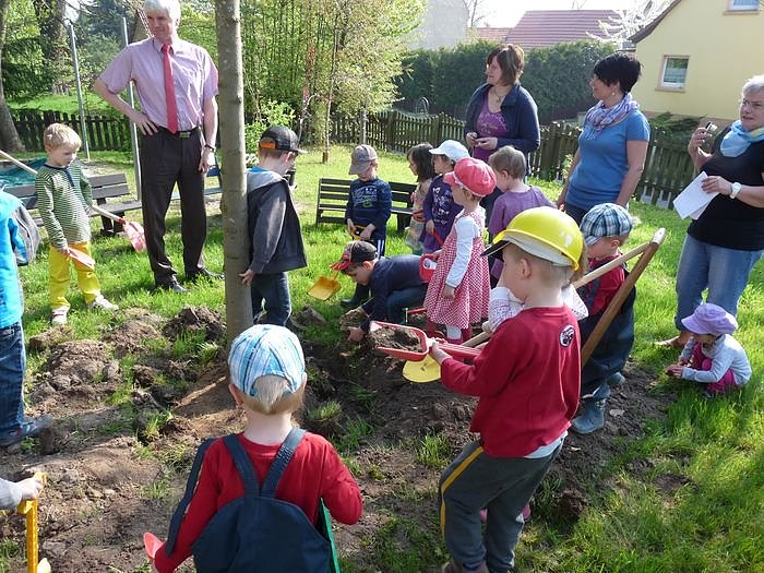 Baum gepflanzt und mehr