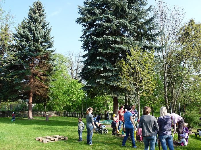 Baum gepflanzt und mehr