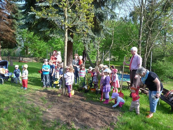 Baum gepflanzt und mehr