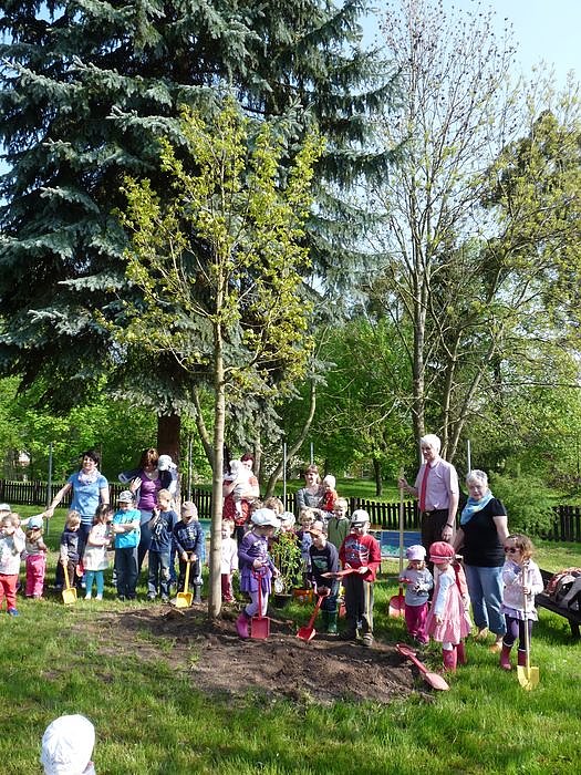 Baum gepflanzt und mehr