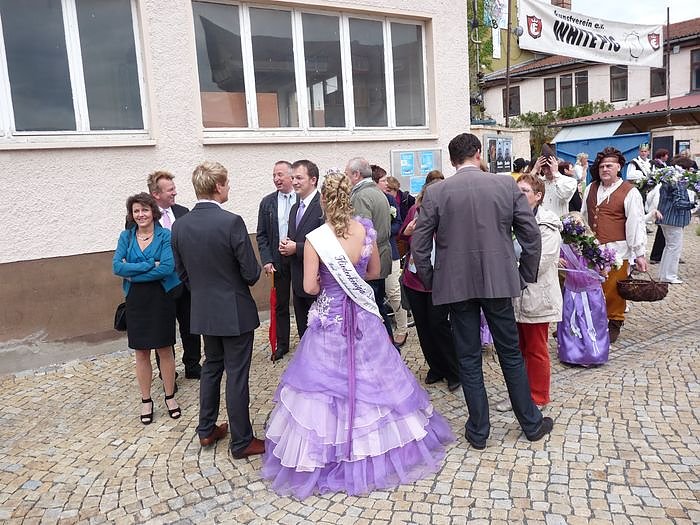 Fliederkrone gesetzt