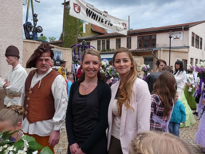 Fliederkrone gesetzt