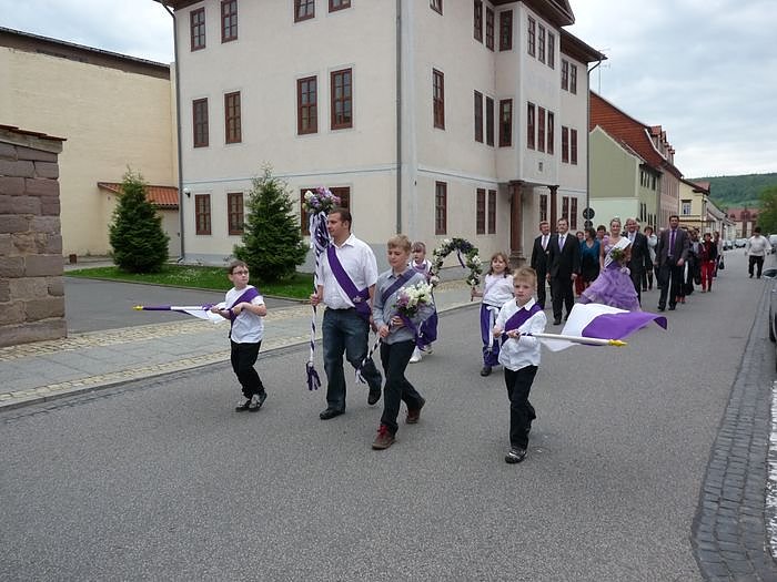 Fliederkrone gesetzt