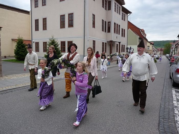 Fliederkrone gesetzt