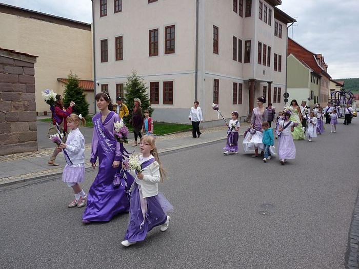 Fliederkrone gesetzt