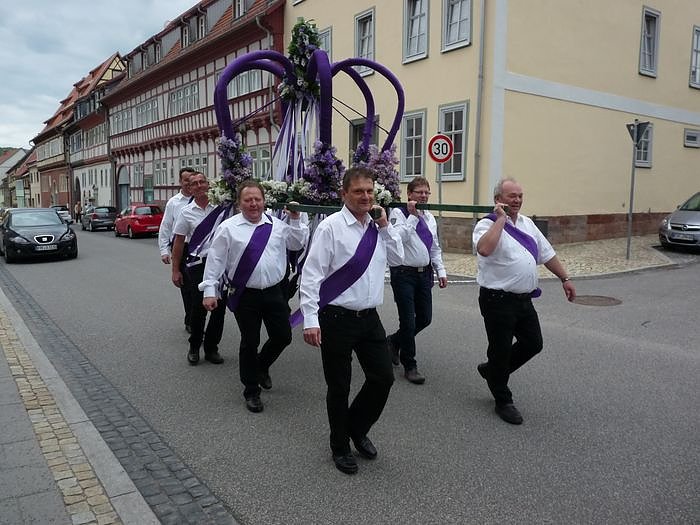 Fliederkrone gesetzt