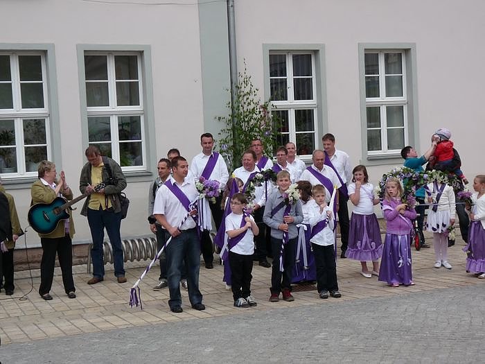 Fliederkrone gesetzt