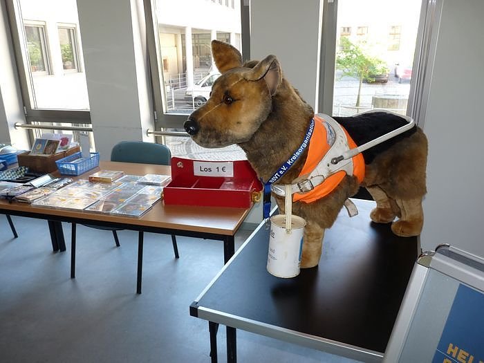  "Ich sehe so, wie du nicht siehst",