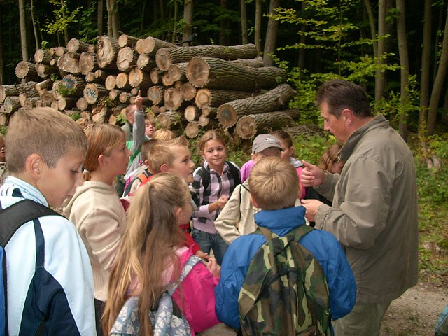 Waldjugendspiele an der Schewrnberger Holzecke