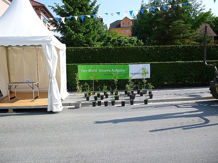 Auf der gr&uuml;nen Meile