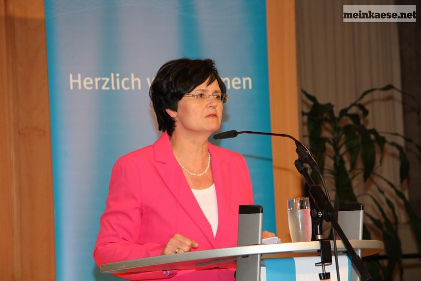 Th&uuml;ringentag 2013 in Sondershausen