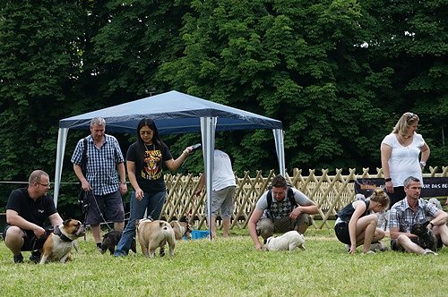 5. Nordth&uuml;ringer Bulldoggentreffen