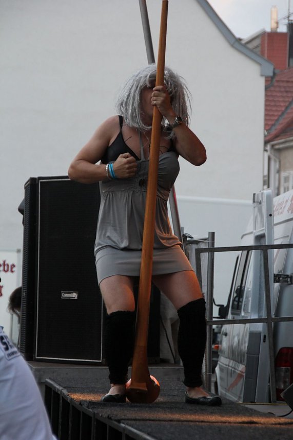 Th&uuml;ringentag 2013 in Sondershausen