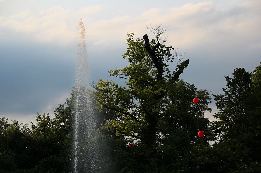 Th&uuml;ringentag 2013 in Sondershausen