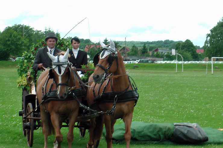 Geheimnis gel&uuml;ftet