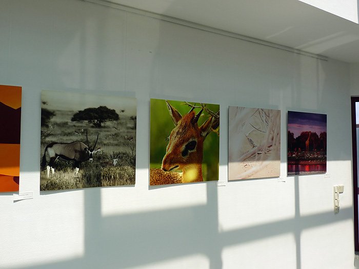 Kunst im Unternehmen (2)