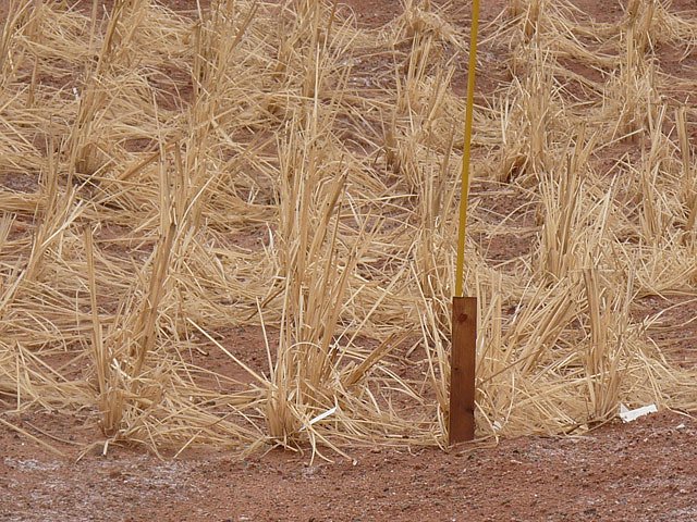 Haldenbefahrung der Kalihalde Sondershausen