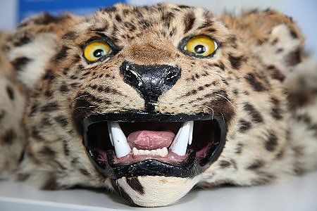 Regeln und Gesetze beachten