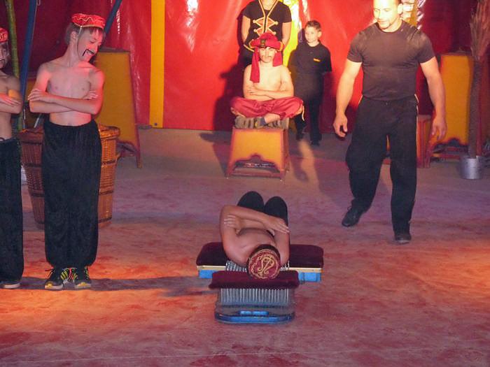 Tolles Zirkusprogramm