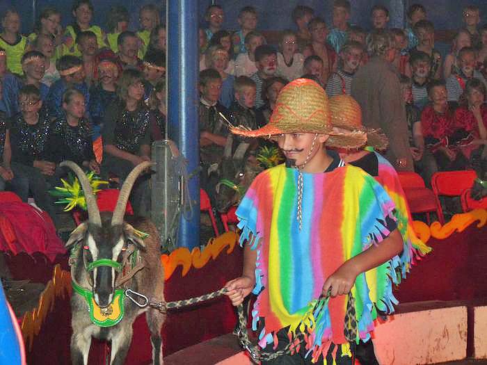 Tolles Zirkusprogramm