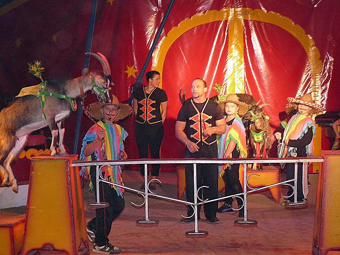 Tolles Zirkusprogramm