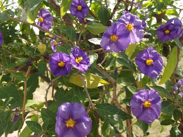 Seniorenausflug ins Land, ...