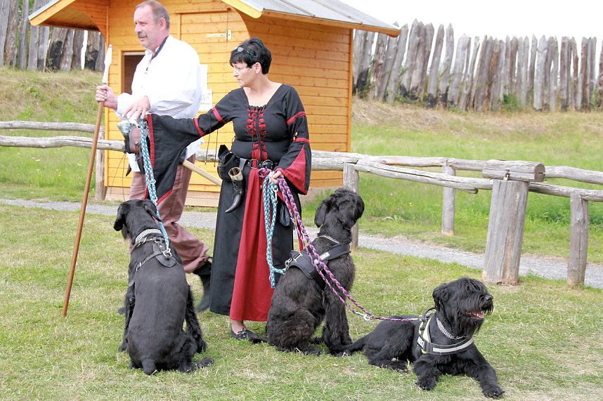 Das 20. Funkenburgfest