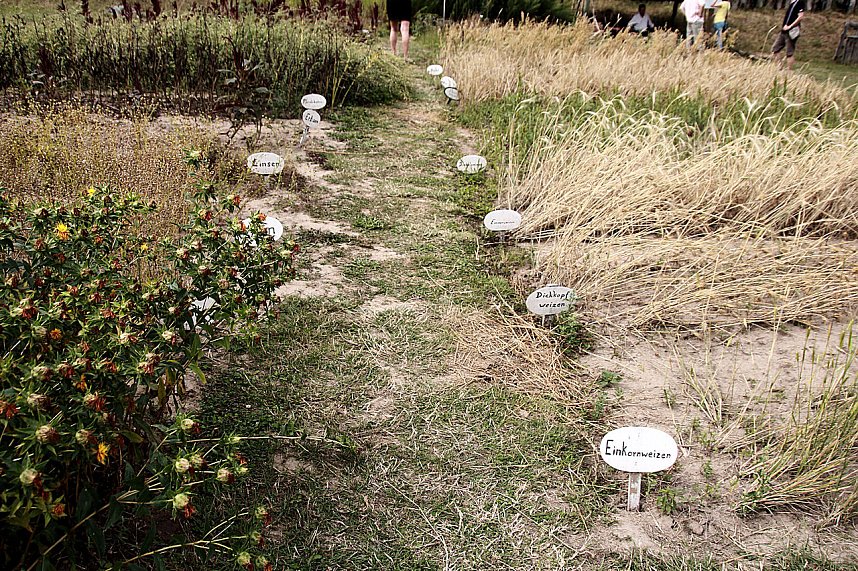 Das 20. Funkenburgfest