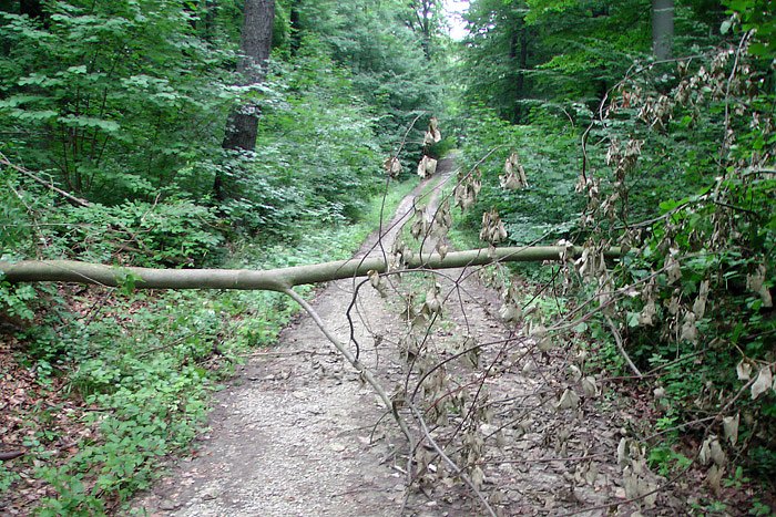 Wanderer unerw&uuml;nscht?