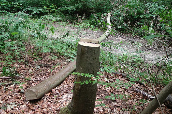 Wanderer unerw&uuml;nscht?