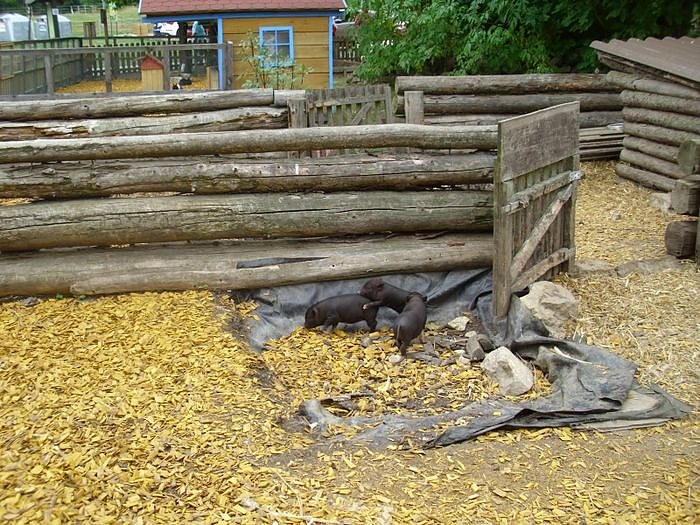 "Sauerei" auf dem Possen