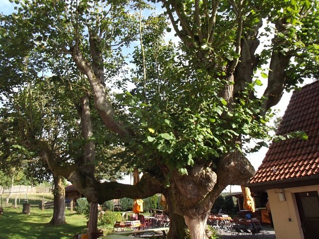 Ausflug nach Herrmannsacker