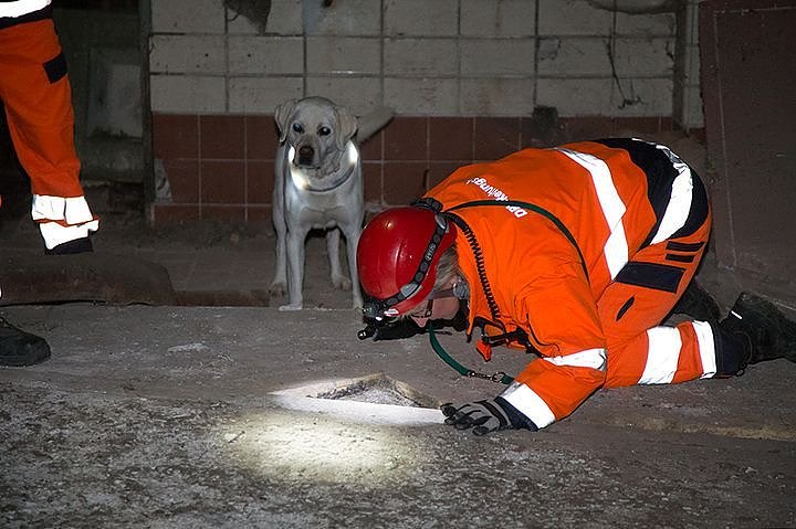 Gemeinsame Gro&szlig;&uuml;bung