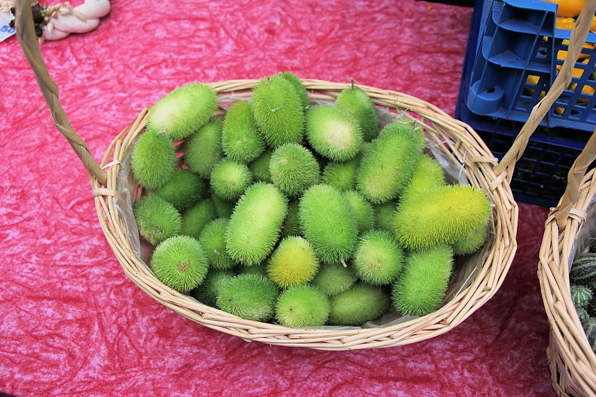 Zwiebelmarkt in Artern