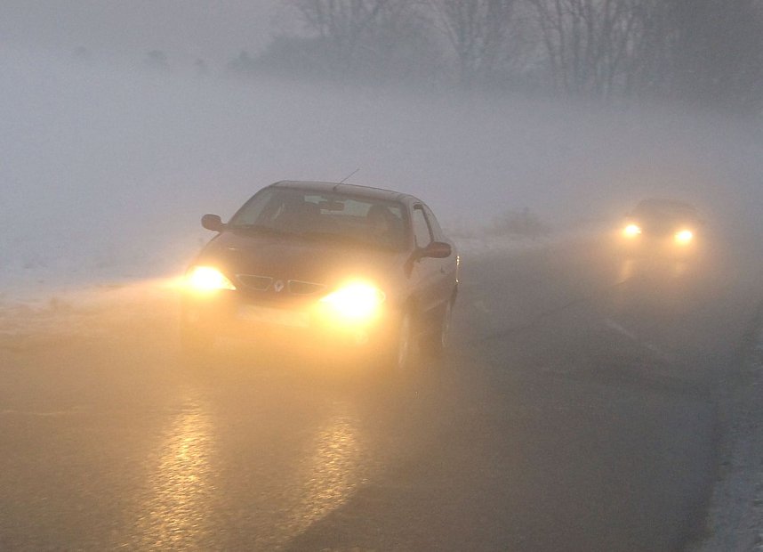 Wildunf&auml;lle reduzieren