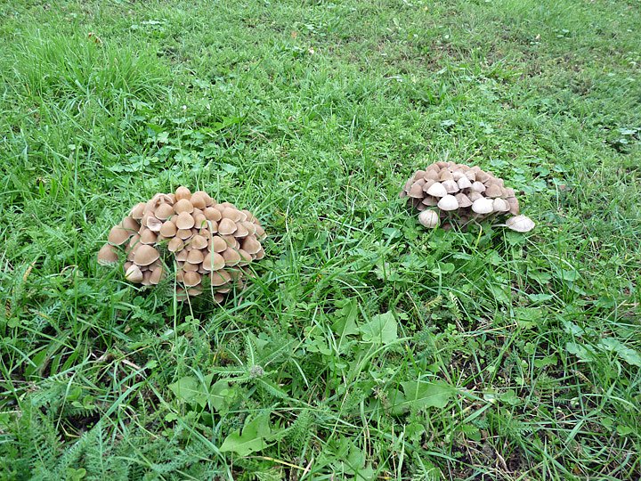 Ja was ist denn das?