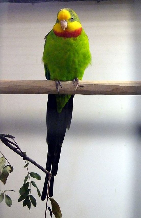 Sehenswerte Ausstellung