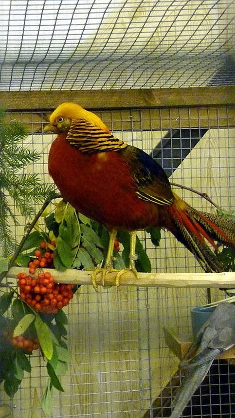 Sehenswerte Ausstellung