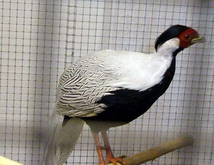 Sehenswerte Ausstellung