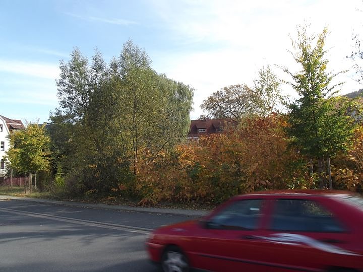 Goldener Herbst und buntes Laub