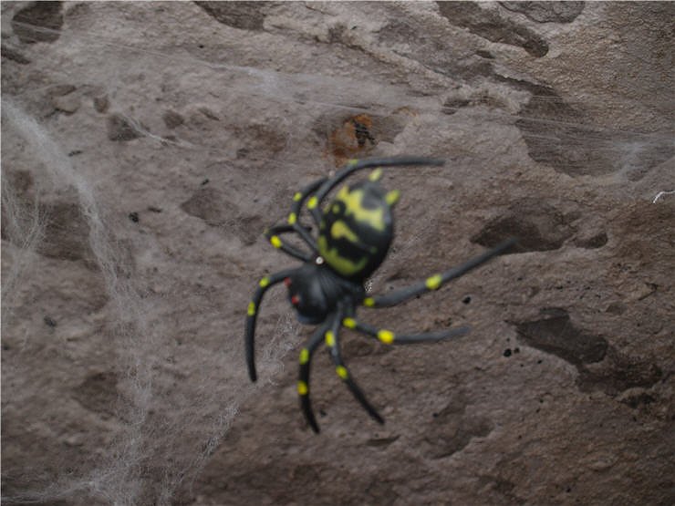 Halloween Party Nordhausen: Fris&ouml;r Jones, Grease, Destille, Schabernack