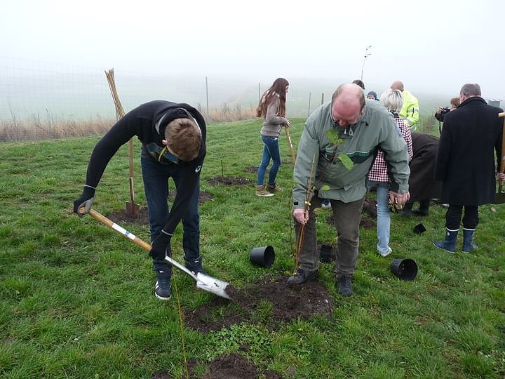 Begr&uuml;nung der R&uuml;ckstandshalde