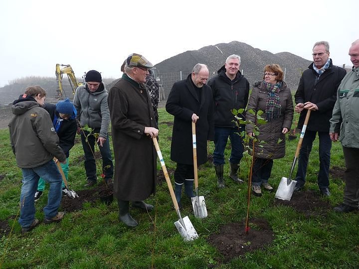 Begr&uuml;nung der R&uuml;ckstandshalde